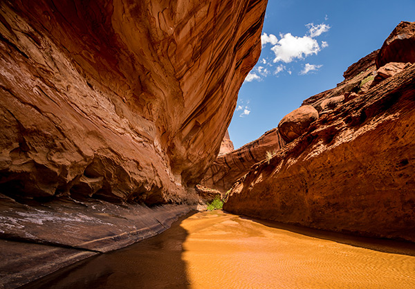 Undercut Cliff in Lower Coyote Gulch - Utah - Photographer's Guide