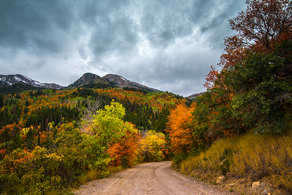 American Fork Canyon in the Fall - Utah - Photographer's Guide